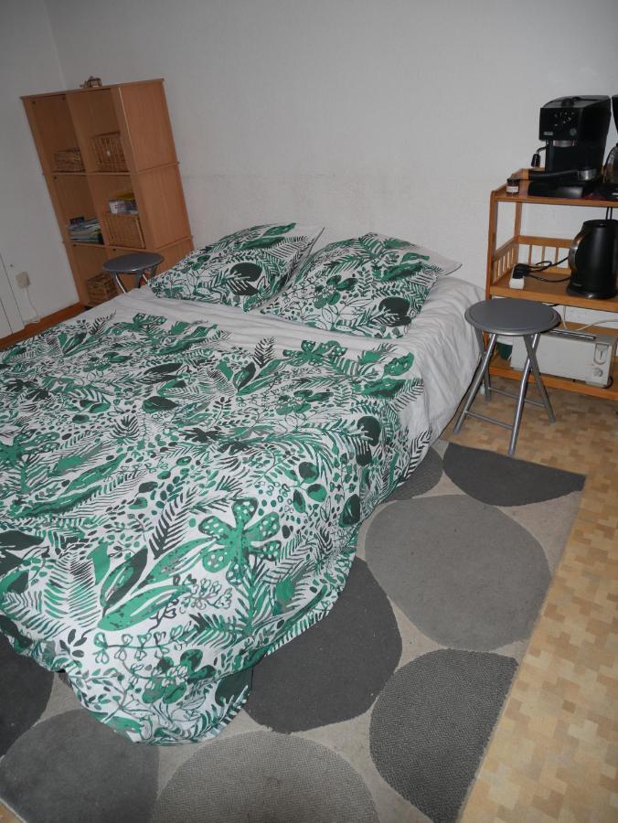Cauterets: Studio 4 Personnes Idealement Situe. ภายนอก รูปภาพ